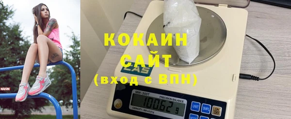 гидра Арсеньев