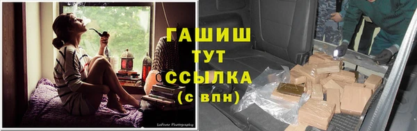 гидра Арсеньев