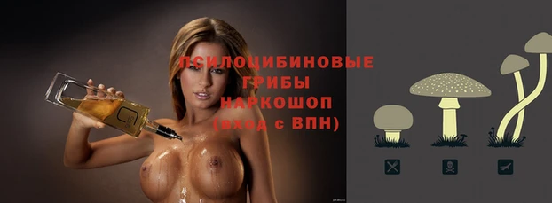 ECSTASY Аркадак