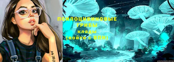бошки Армянск