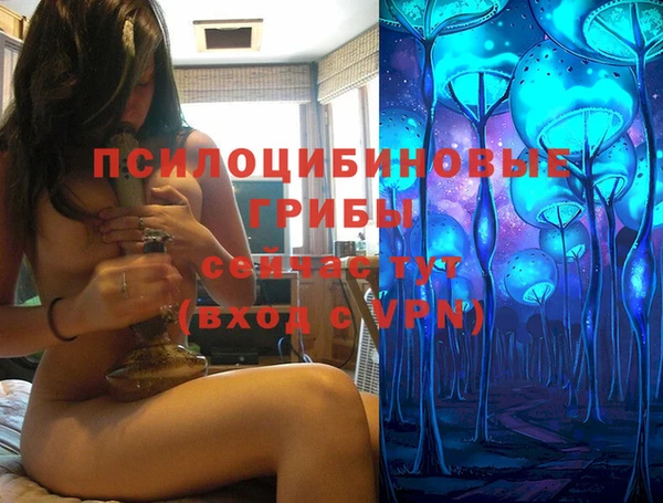 ECSTASY Аркадак