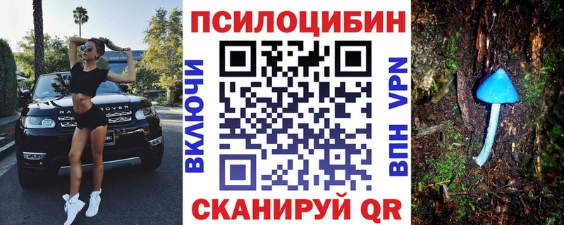 Псилоцибиновые грибы GOLDEN TEACHER  дарнет шоп  Асино 