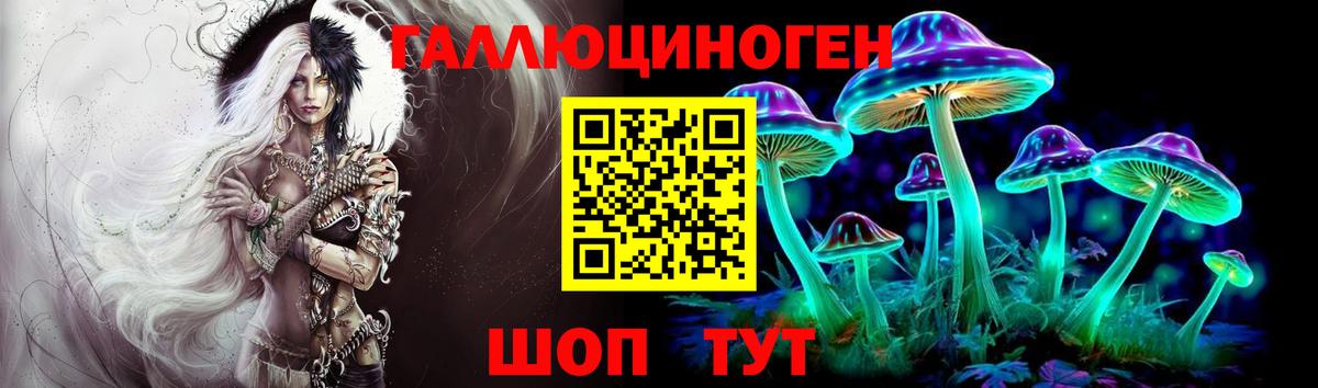 Псилоцибиновые грибы Psilocybine cubensis  Вход с VPN  Асино 